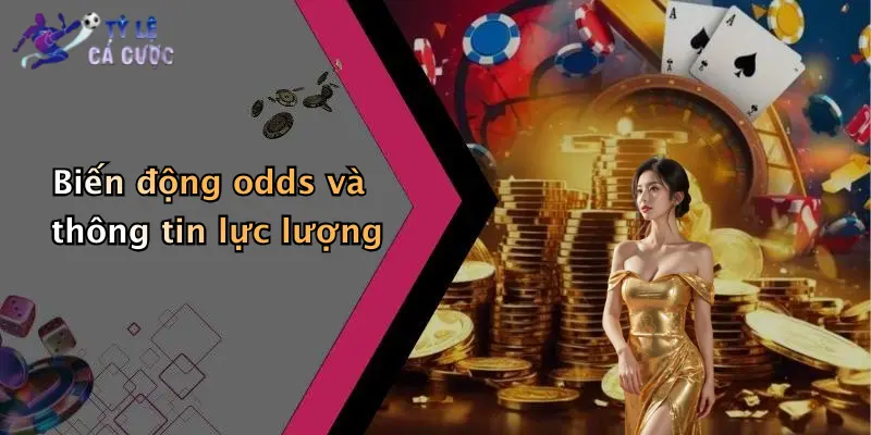 Biến động odds và thông tin lực lượng