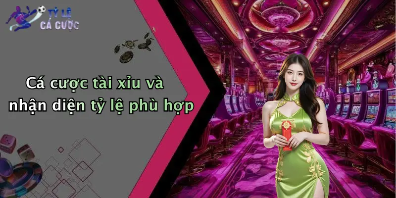 Cá cược tài xỉu và nhận diện tỷ lệ phù hợp